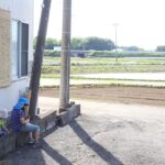 【会員限定】私は夫選びをミスったのか。