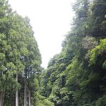 子育てって『ものいり』ね~