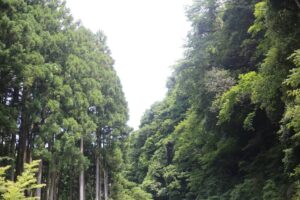 子育てって『ものいり』ね～