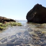 老後は釣りでもしながらゆっくり・・・の正体を知る