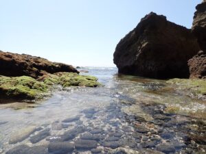 老後は釣りでもしながらゆっくり・・・の正体を知る