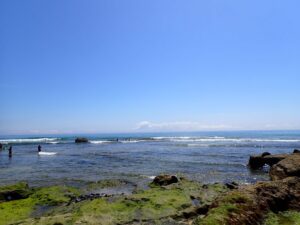 お墓欲しい？親のお墓どうなってる？墓の話