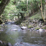 いただきました。『ママ〇ね』