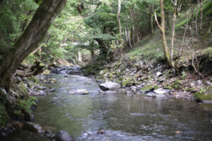 いただきました。『ママ〇ね』