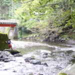 【会員限定】どうしたいのか。どうして欲しいのか。に潜む意外なこと