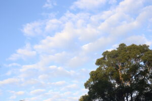 下の子の気持ち。上の子の気持ち。
