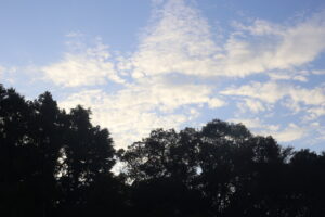 母親になったこと後悔していますか？