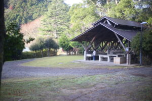 結局中受はしないことになりそうだけど、向き不向きがあるのがなんとなくわかった。