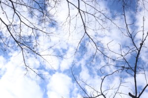 【会員限定】夫とともにサバイブ【子供のローカル団体でひどいめにあった話】②