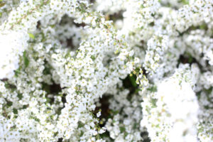 どこへ行ったと思う？いちばん贅沢な旅行