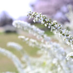 【会員限定】私が夫のご飯を作らないのは【私の問題】なのか。いや【夫の問題】でしょう。