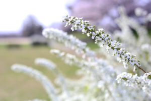 【会員限定】私が夫のご飯を作らないのは【私の問題】なのか。いや【夫の問題】でしょう。