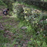 適当に褒めて育てるとAクンみたいになるよ。