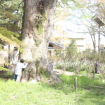 世界中の子供たちを見てきた人たちの言う、【子供に良い環境】とは