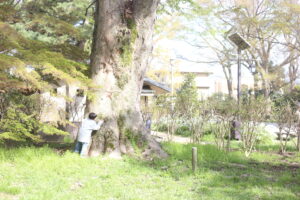 世界中の子供たちを見てきた人たちの言う、【子供に良い環境】とは