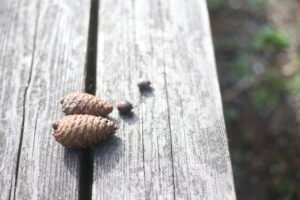 【会員限定】「たくさん意地悪してごめんね」夫の謝罪