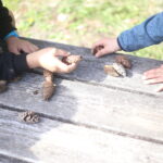 そこからやっと【お手伝い】が始まります