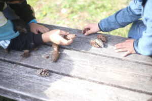 そこからやっと【お手伝い】が始まります