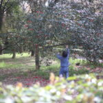 『育てる』のいちばん美味しいところ