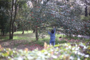 垣間見た、いまの若者の【リアル】