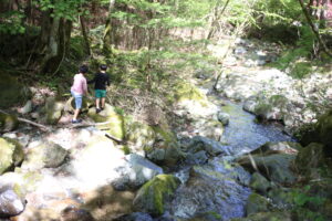 キャンプシーズンだ。レジャーだ。お買い物マラソンだ。