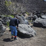 どんな子供なら『安心』するのか。