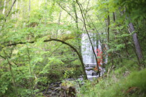 【会員限定】私は夫に何度折られても、また立ち上がらなければならないのか。