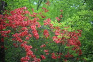 【会員限定】夫の『バラエティ番組』のようなノリ