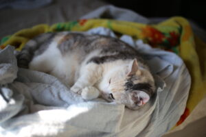 自分の親がしたことに、いまさら驚く