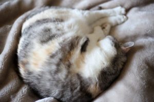 まさに『２回目のイヤイヤ期』