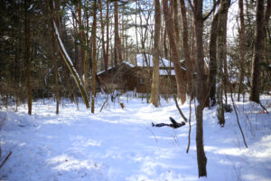 中学受験という選択肢を捨てるために