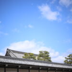 人生でいちばん痛かったときはいつ?次男にも聞いてみた