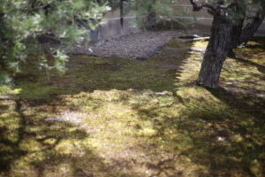 【会員限定】夫がわかってくれているとも、思っていなかったけど