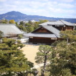 私の生存者バイアスが吉と出たり凶と出たり