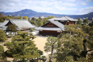 私の生存者バイアスが吉と出たり凶と出たり