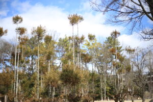 【会員限定】夫にはせめて、『攻撃』をやめてもらいたい