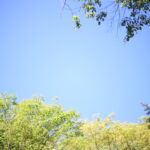 アラフォー~フィフの通る道?働き方に悩むの巻