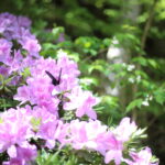 【会員限定】モラハラ期の夫が知らなかったこと