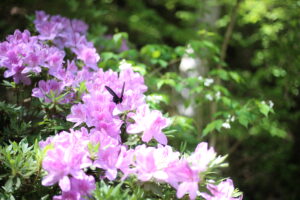 【会員限定】モラハラ期の夫が知らなかったこと