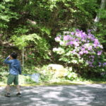 年をとればとるほど子供時代に戻るのか