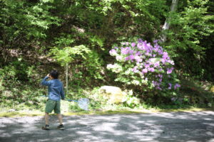 年をとればとるほど子供時代に戻るのか