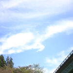 『性教育』と言っても教えることが多すぎて
