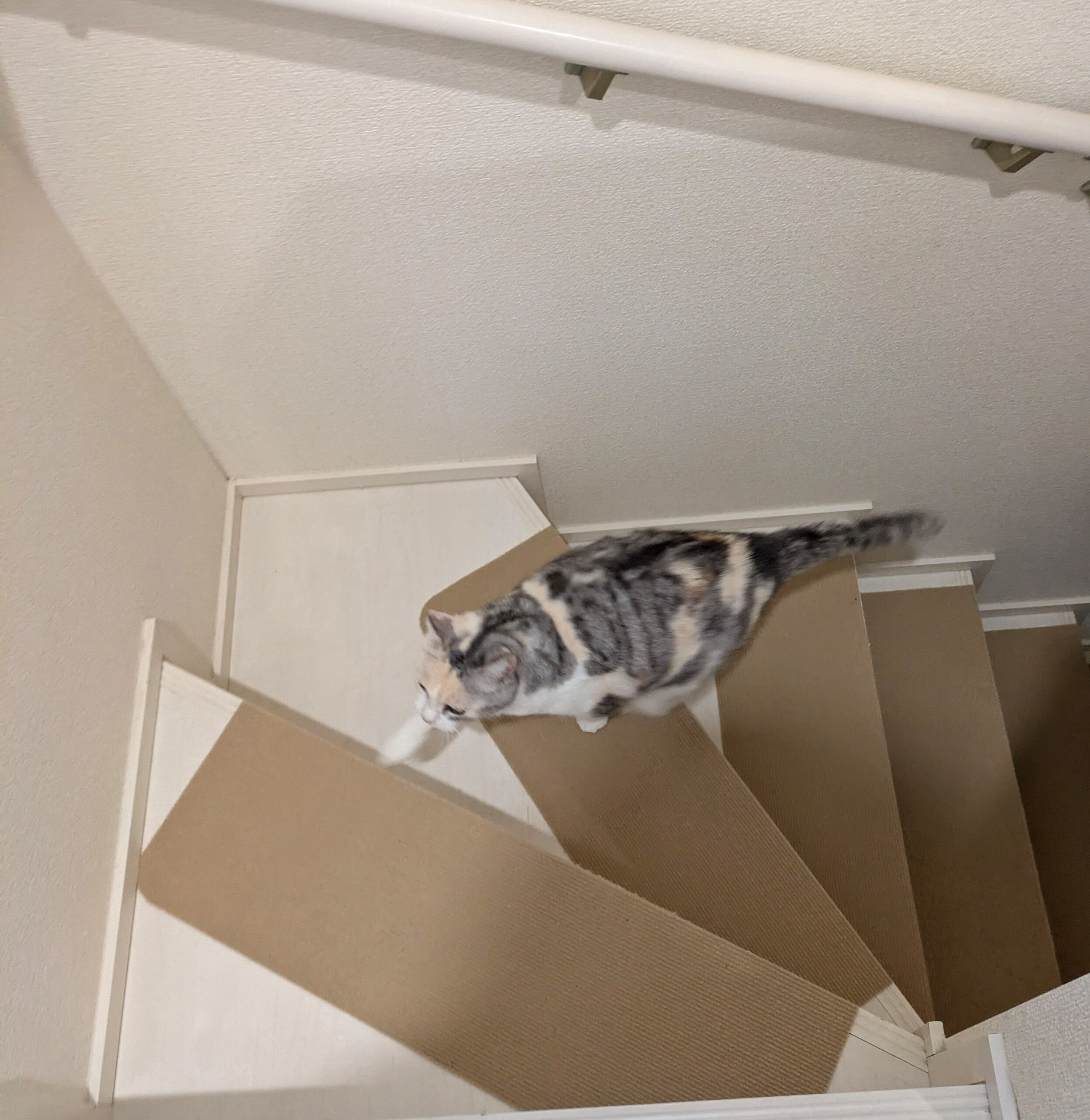 部屋着にもパジャマにも不可欠なもの