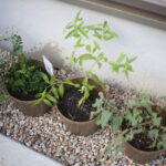 車を買うのか問題