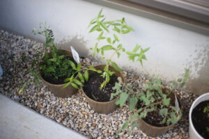 車を買うのか問題