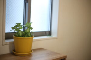 戦いであり楽しみであり