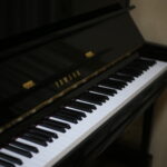 本能か遺伝子か、後天的なものなのか