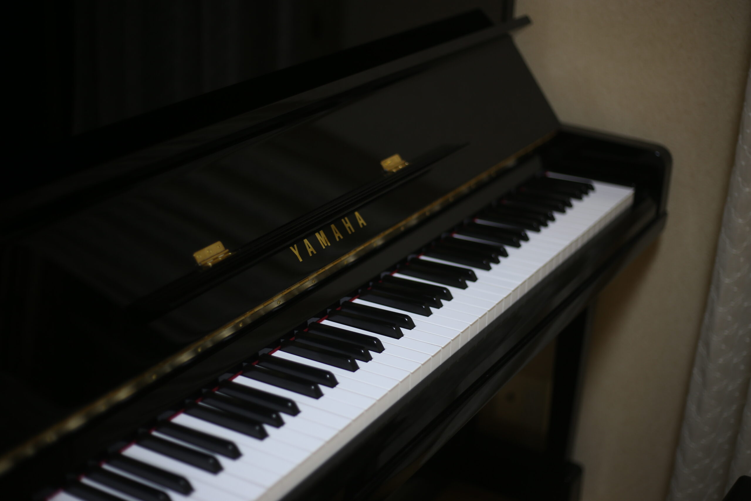 本能か遺伝子か、後天的なものなのか