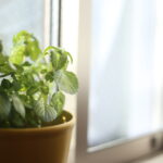 ひとつでは足りなかったもの