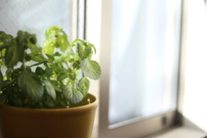 ひとつでは足りなかったもの